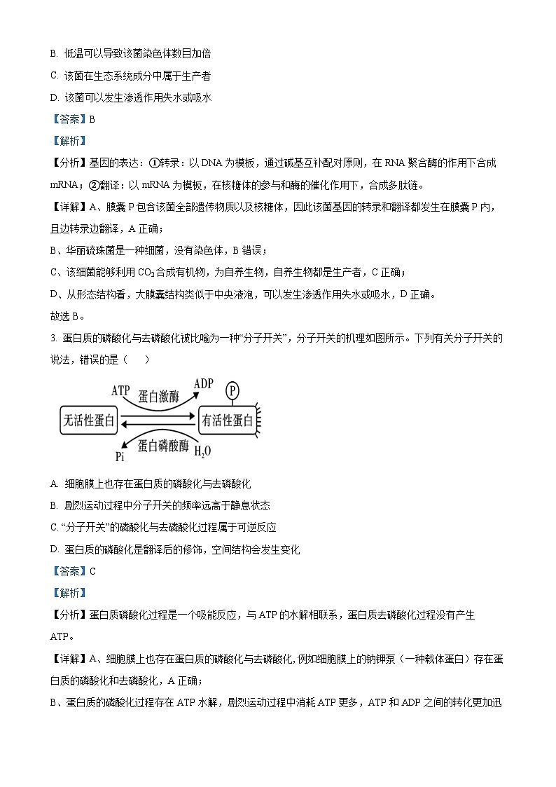 2024届湖南省衡阳市雁峰区第八中学高考模拟预测生物试题（教师版）第2页