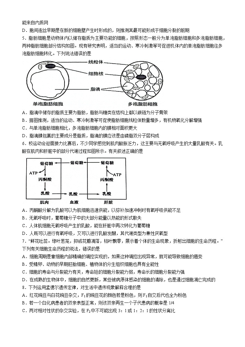 2024湖北省云学名校新高考联盟高一下学期5月联考生物试卷含解析02