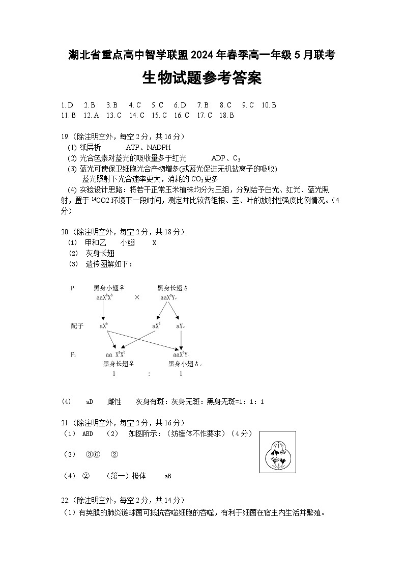 2024湖北省重点高中智学联盟学年高一下学期5月联考生物试题含答案01