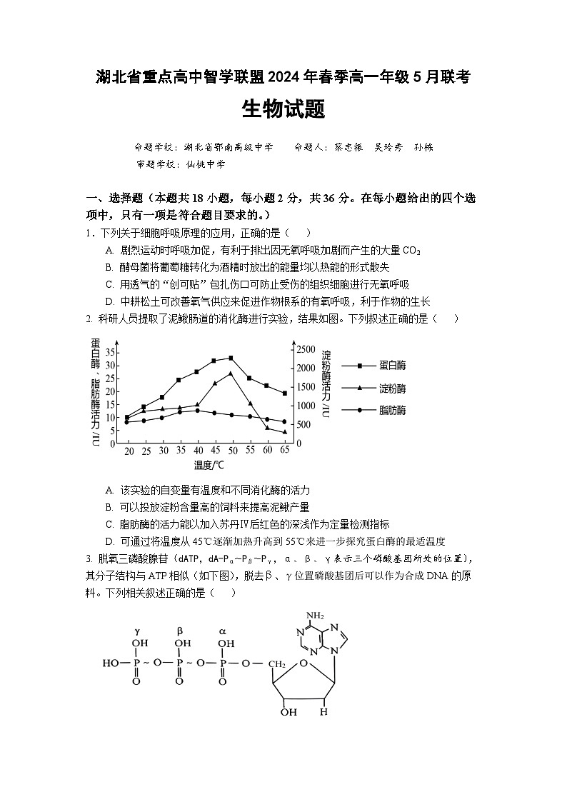 2024湖北省重点高中智学联盟学年高一下学期5月联考生物试题含答案01