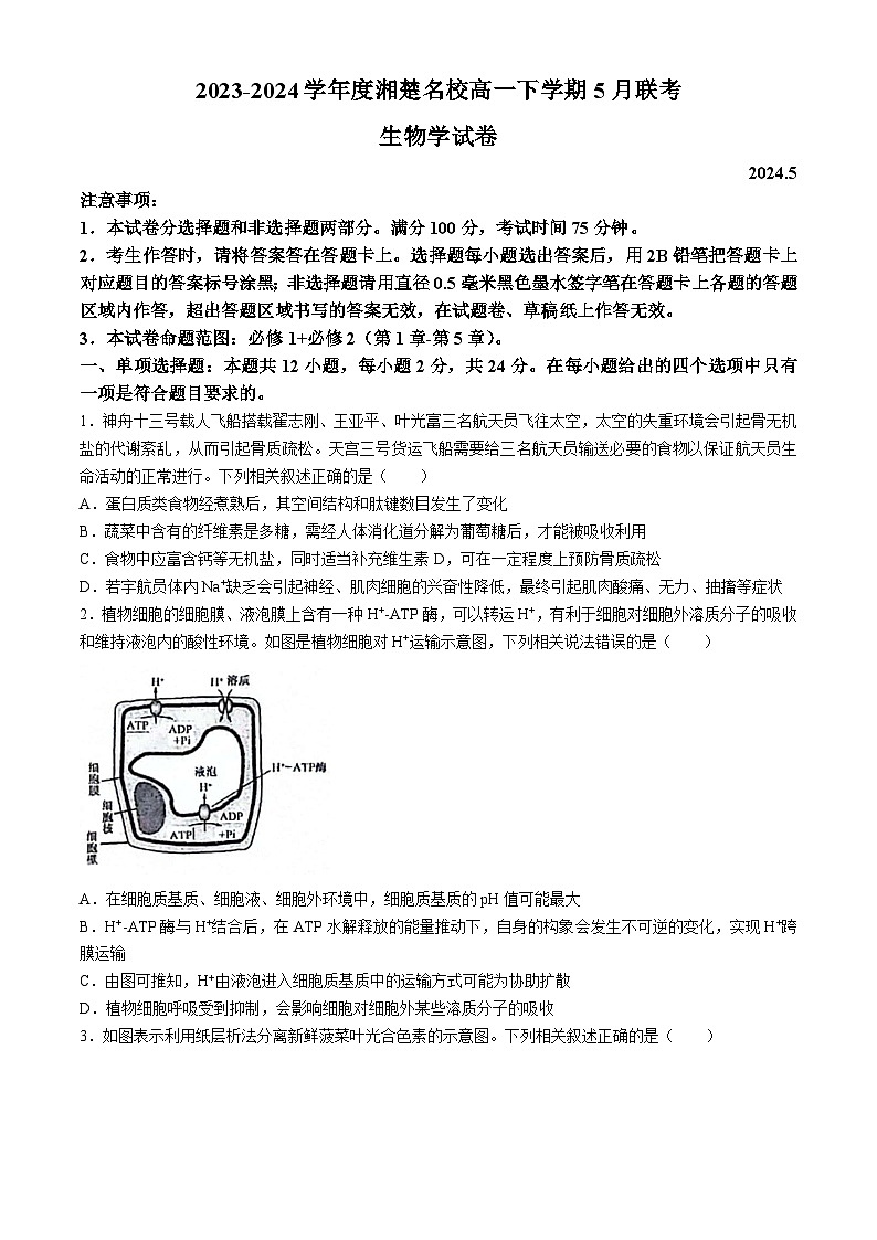 2024湖南省湘楚名校高一下学期5月月考生物试题含解析第1页