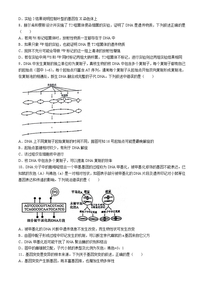 2024湖南省湘楚名校高一下学期5月月考生物试题含解析第3页