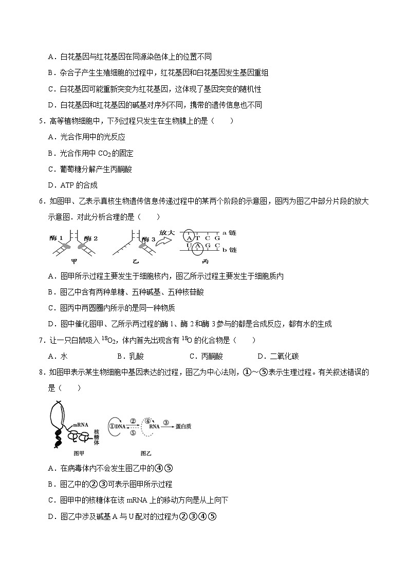 2024岳阳汨罗一中高一下学期5月月考生物试题含答案第2页