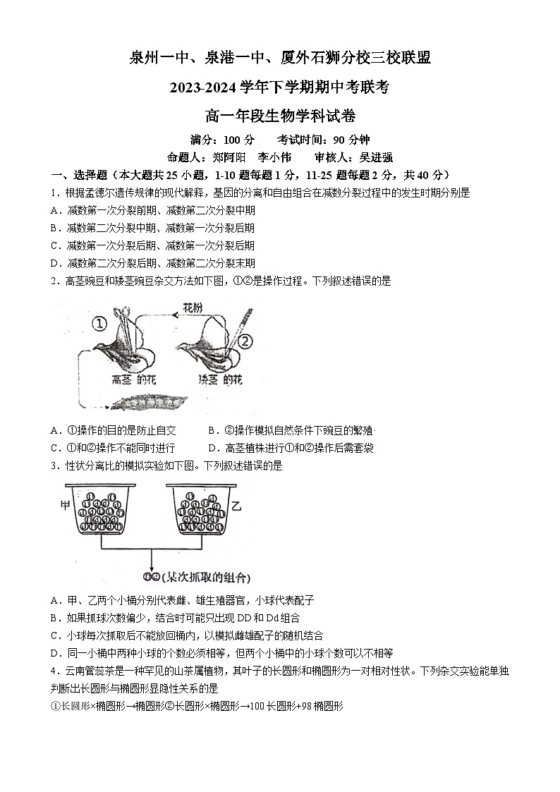 2024泉州泉州一中泉港一中厦外石狮分校三校联盟高一下学期5月期中生物试题（无答案）第1页