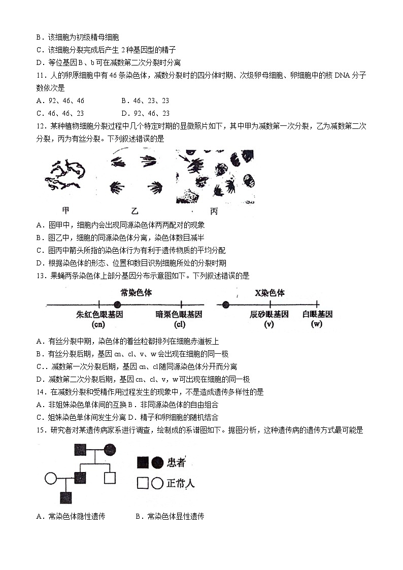 2024泉州泉州一中泉港一中厦外石狮分校三校联盟高一下学期5月期中生物试题（无答案）第3页