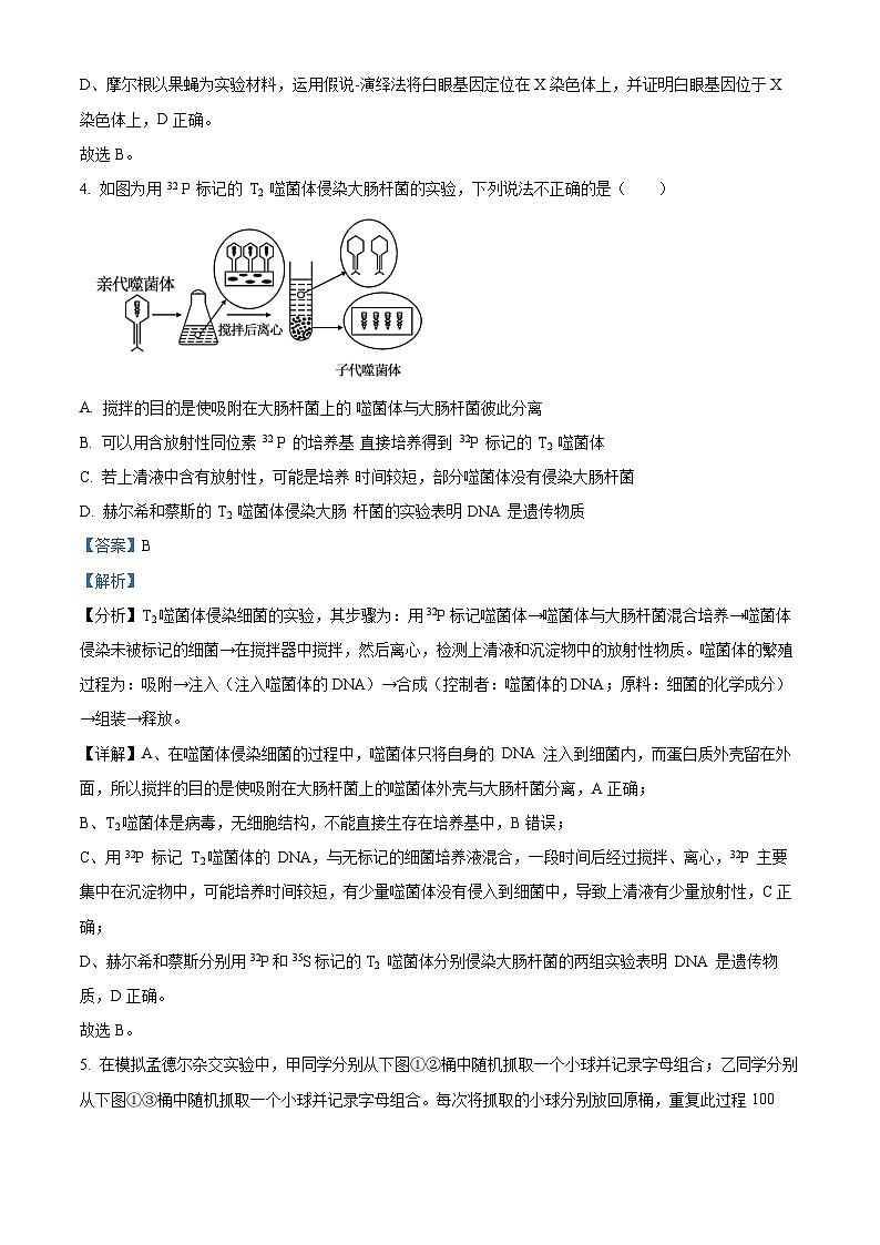 2024安徽省庐巢联盟高一下学期第二次月考生物试题含解析03