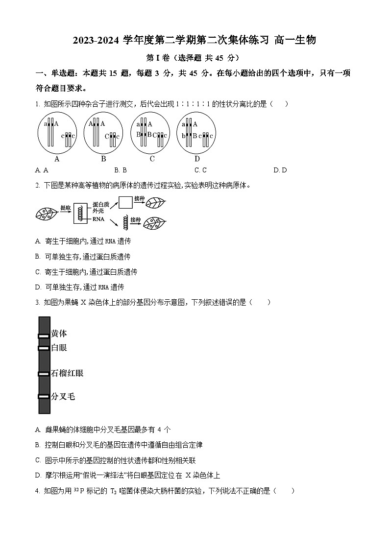 2024安徽省庐巢联盟高一下学期第二次月考生物试题含解析01