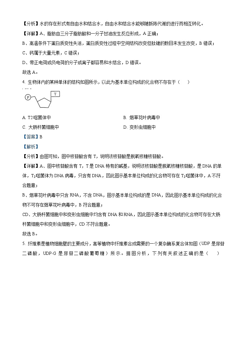 河南省创新发展联盟2023-2024学年高二下学期5月月考生物试题（学生版+教师版）03