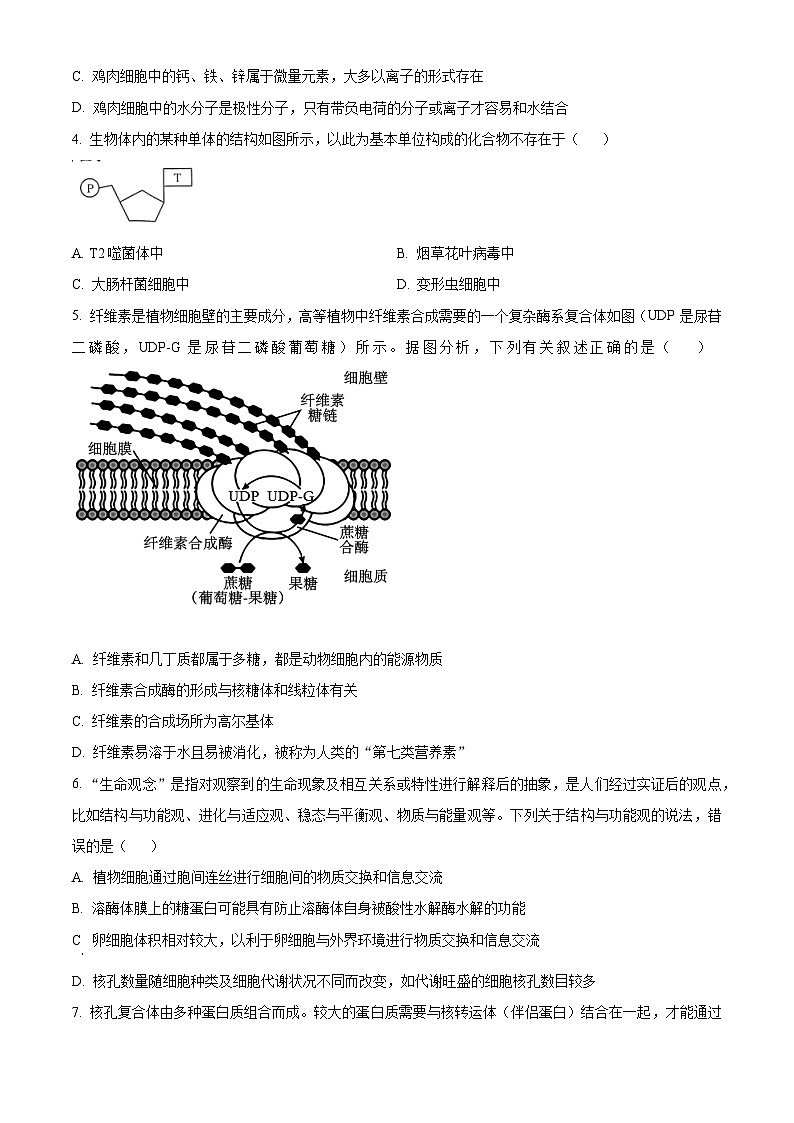 河南省创新发展联盟2023-2024学年高二下学期5月月考生物试题（学生版+教师版）02