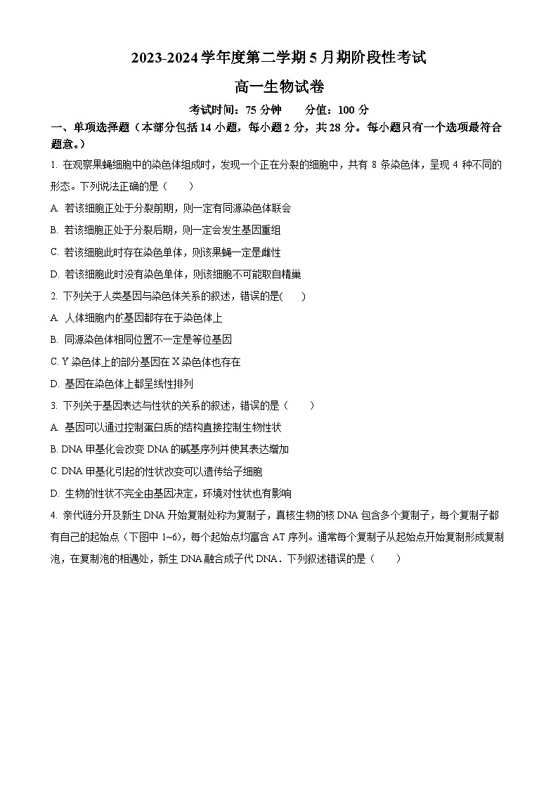 江苏省无锡市锡东高级中学2023-2024学年高一下学期5月月考生物试题（学生版+教师版）01