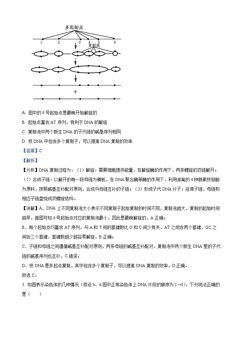 江苏省无锡市锡东高级中学2023-2024学年高一下学期5月月考生物试题（学生版+教师版）03