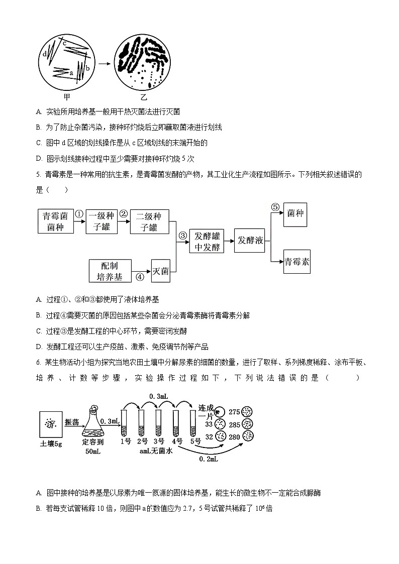 江苏省宿迁市泗阳县两校学情调研2023-2024学年高二下学期5月月考生物试题（学生版）第2页