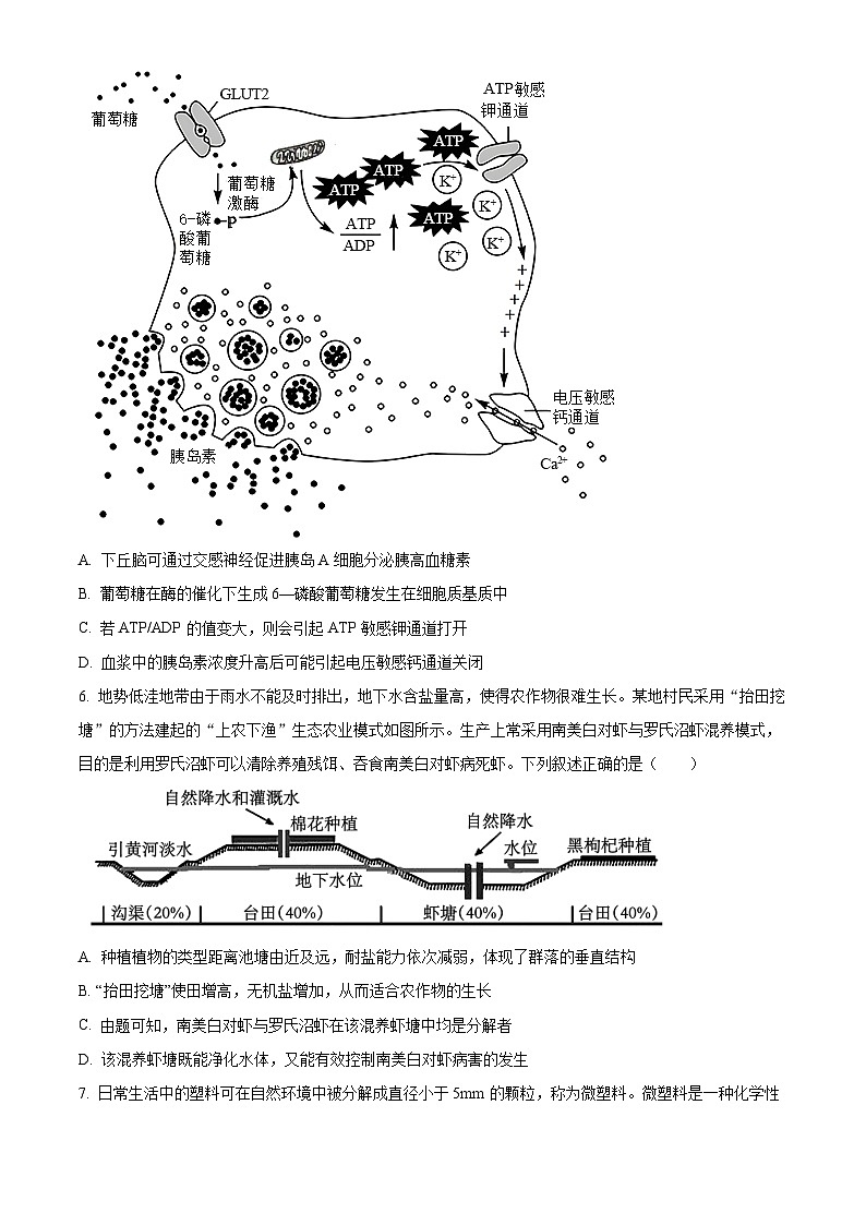 湖南省长沙县第九中学2023-2024学年高二下学期5月月考生物试题（学生版）第3页