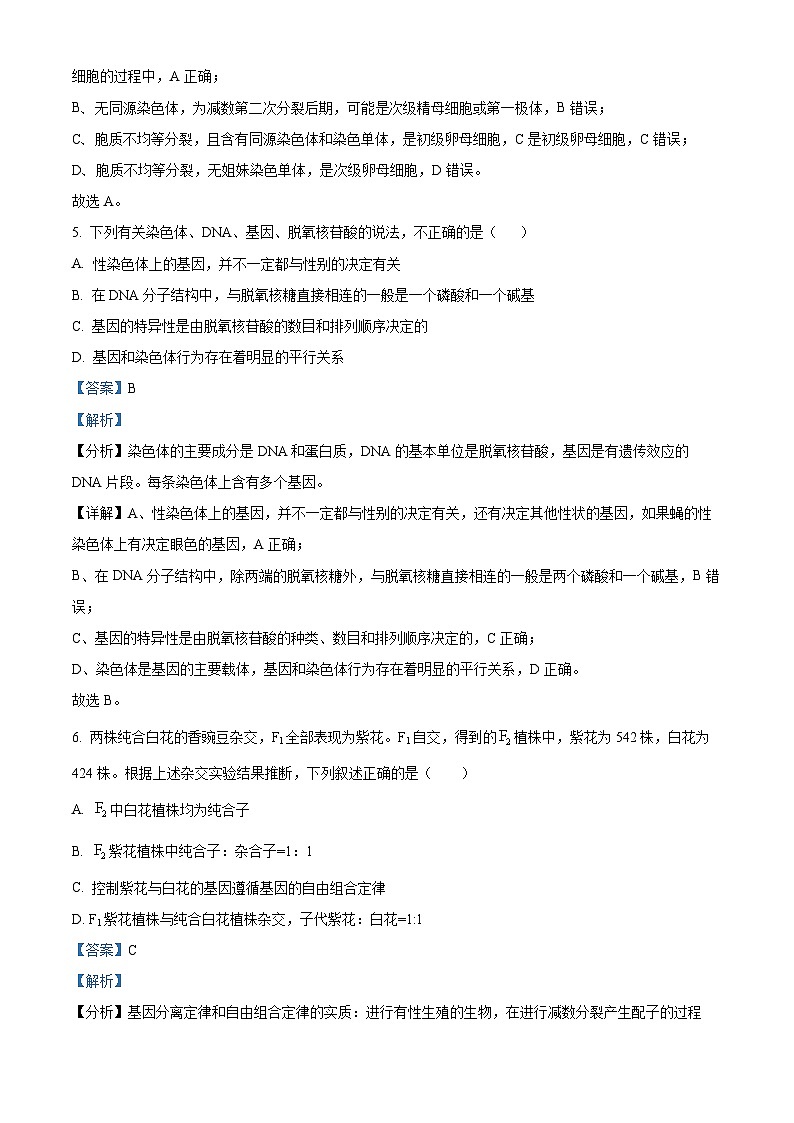 四川省南充市顺庆区南充高级中学2023-2024学年高一下学期5月月考生物试题（学生版+教师版）03