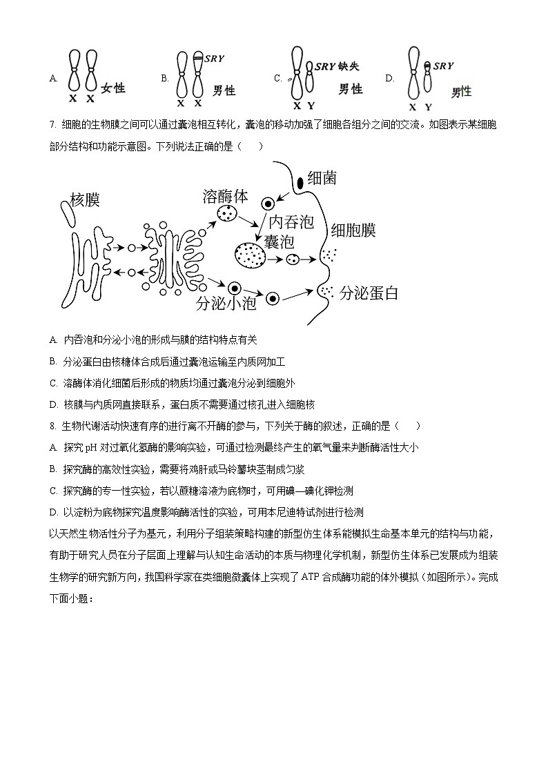 浙江省重点中学四校联考2023-2024学年高一下学期5月月考生物试题（学生版）第2页