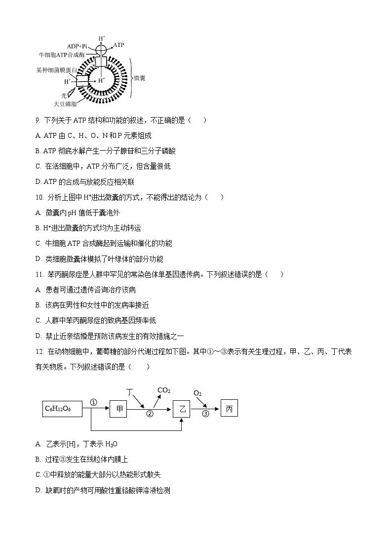 浙江省重点中学四校联考2023-2024学年高一下学期5月月考生物试题（学生版）第3页