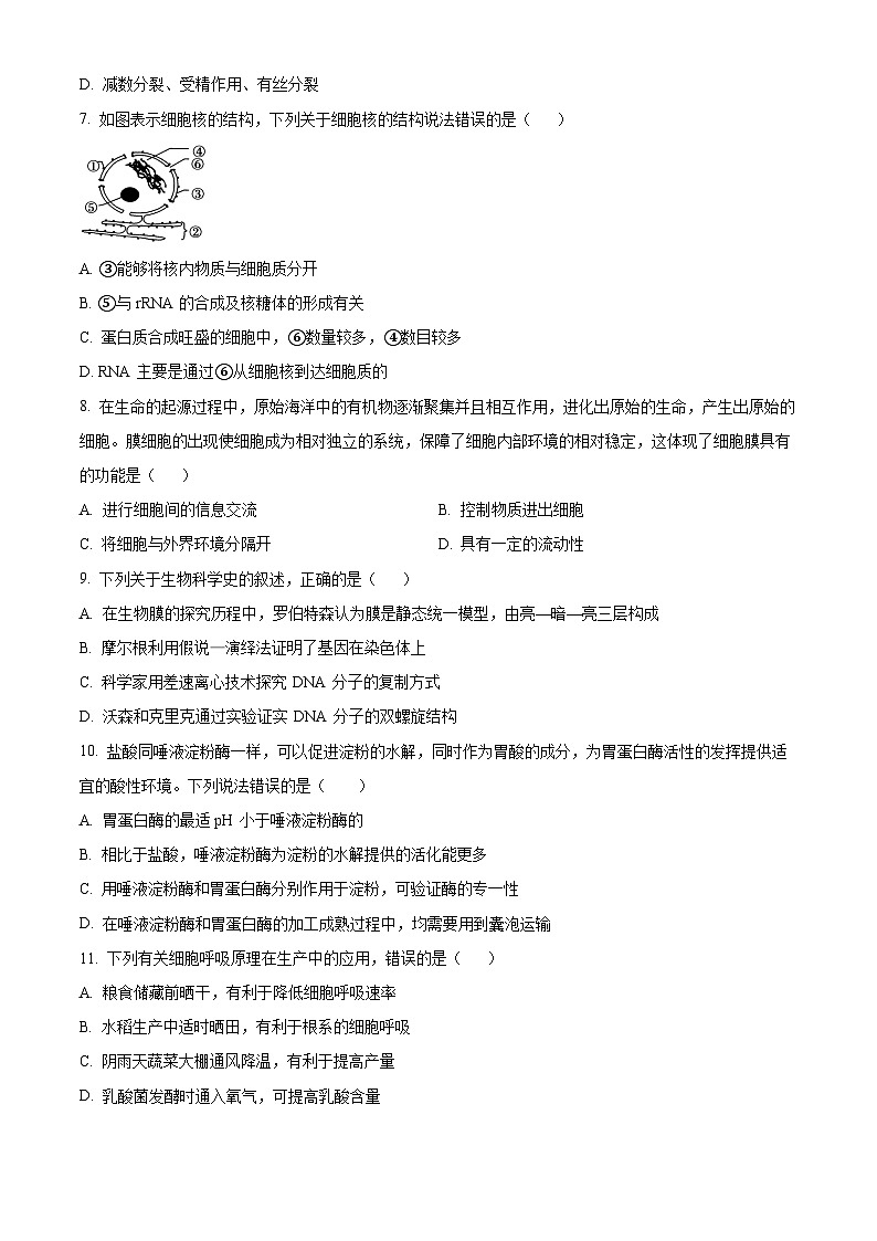 云南省四校联考2023-2024学年高一下学期5月月考生物试题（学生版+教师版）02