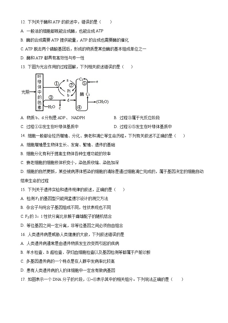 云南省四校联考2023-2024学年高一下学期5月月考生物试题（学生版+教师版）03