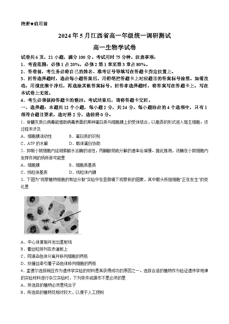 江西省部分学校2023-2024学年高一下学期5月统一调研测试生物试卷（Word版附解析）01