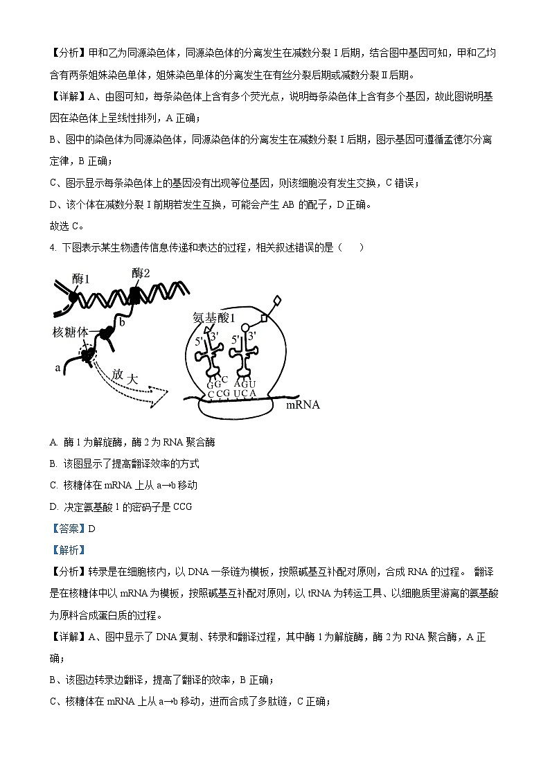福建省福州第一中学2023-2024学年高三下学期校模拟生物试题（解析版）第3页