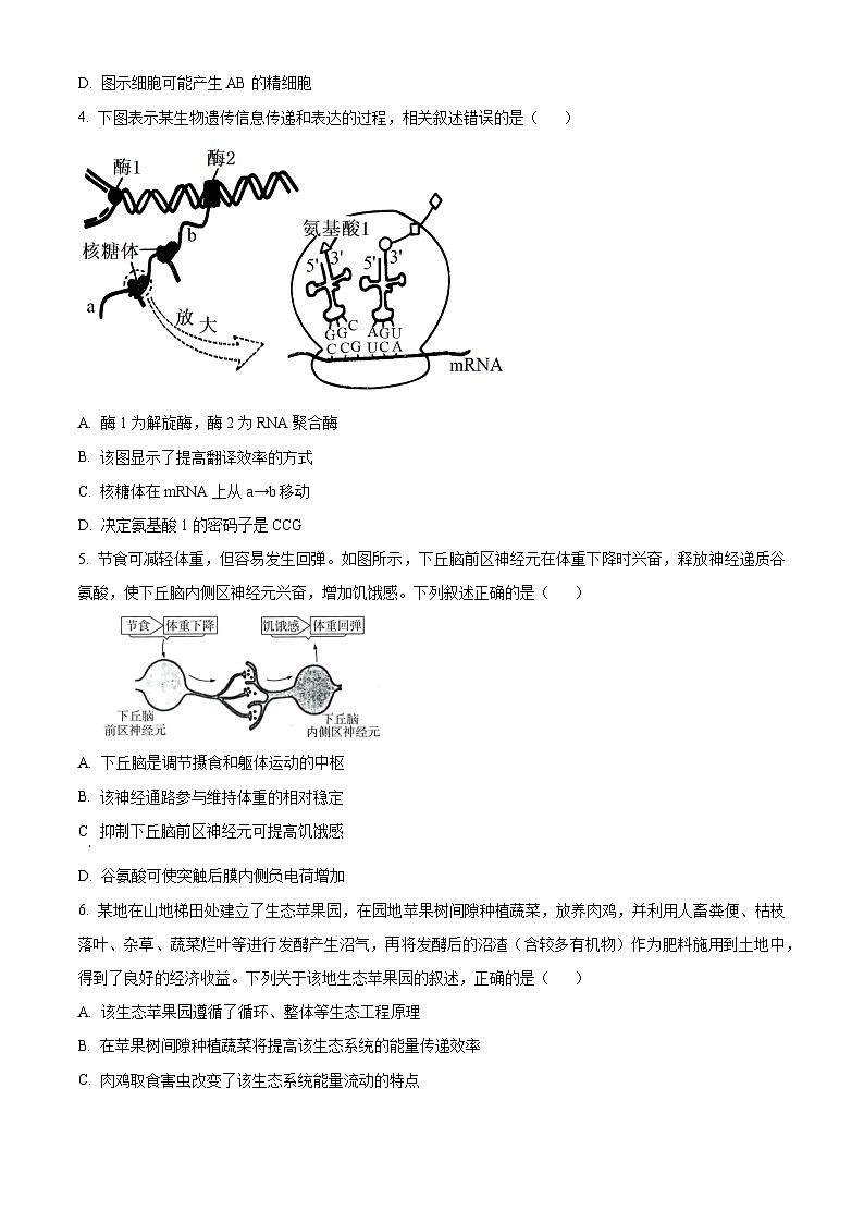 福建省福州第一中学2023-2024学年高三下学期校模拟生物试题（原卷版）第2页
