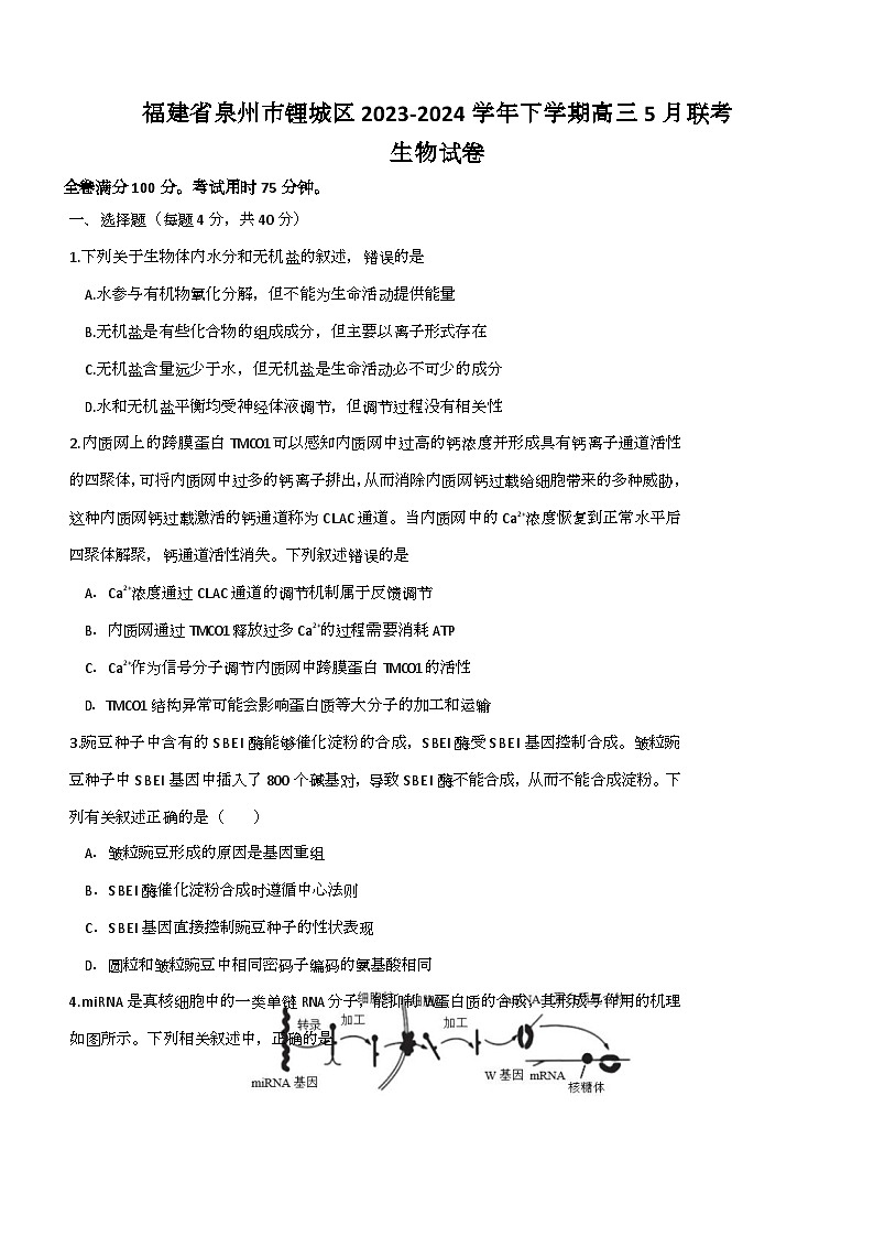 福建省泉州市鲤城区2024届高三下学期预测模拟预测生物试题（Word版附答案）第1页
