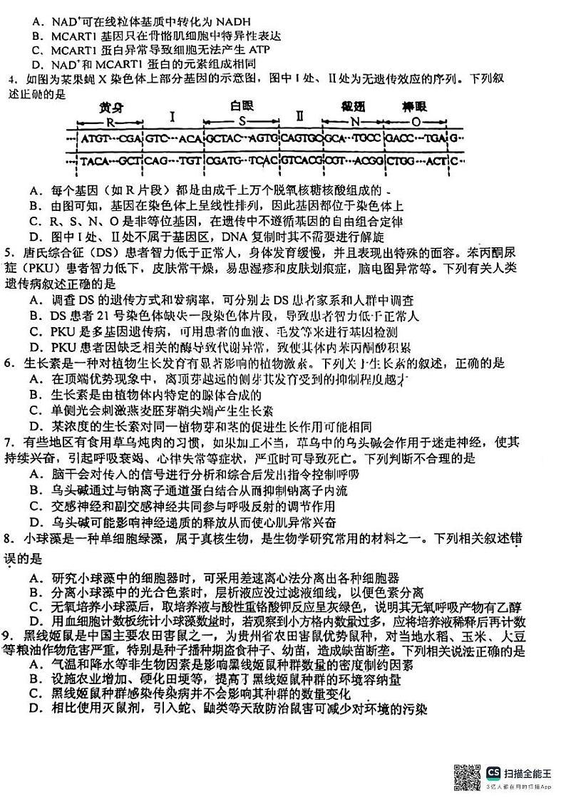 江西省吉安市吉州区第一中学2024届高三三模生物试题（Word版附解析）02