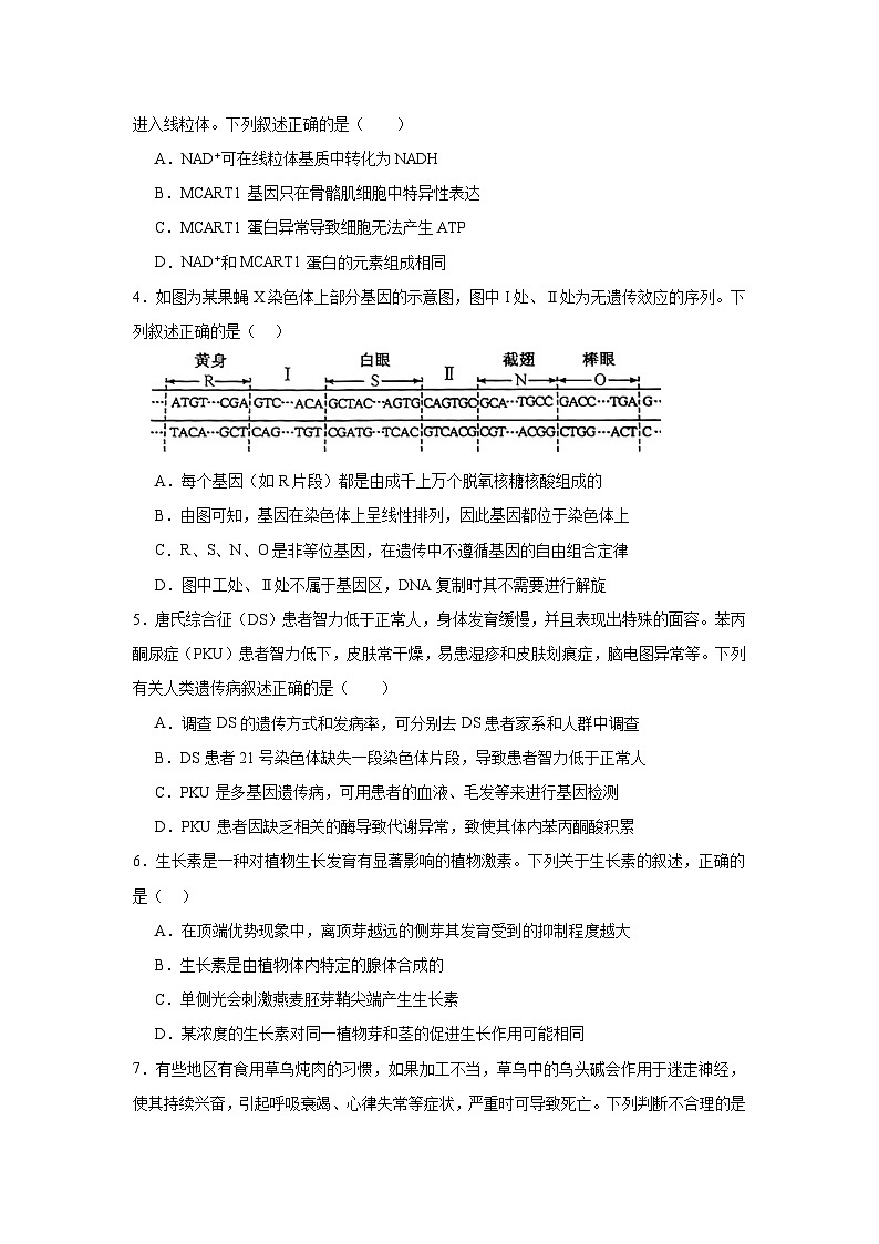 江西省吉安市吉州区第一中学2024届高三三模生物试题（Word版附解析）02