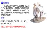 【核心素养】人教版高中生物必修一3.3《细胞核的结构和功能》课件＋课时练习＋教案（含教学反思）