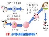 【核心素养】人教版高中生物必修一3.3《细胞核的结构和功能》课件＋课时练习＋教案（含教学反思）