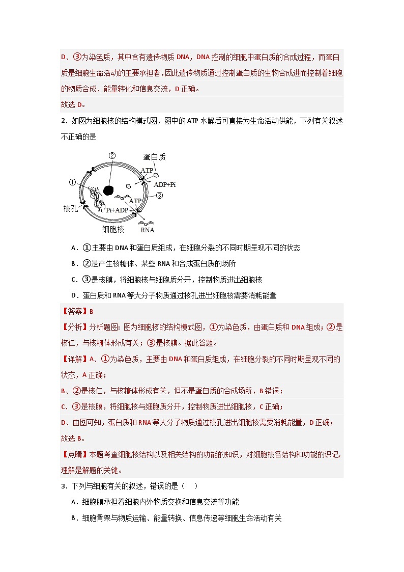 【核心素养】人教版高中生物必修一3.3《细胞核的结构和功能》课件＋课时练习＋教案（含教学反思）02