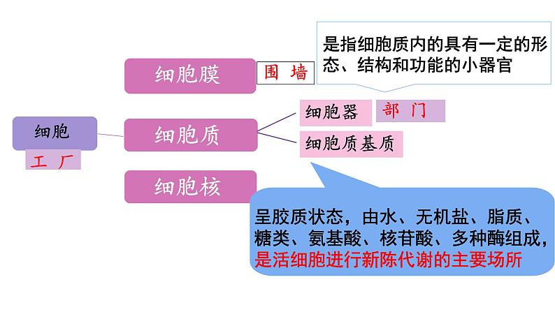 【核心素养】人教版高中生物必修一3.2《细胞器之间的分工合作》课件＋课时练习＋教案第一课时06