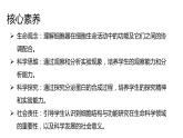 【核心素养】人教版高中生物必修一3.2《细胞器之间的分工合作》课件＋课时练习＋教案第二课时