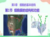 【核心素养】人教版高中生物必修一3.1《细胞膜的结构和功能》课件＋课时练习＋教案（含教学反思）