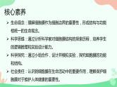 【核心素养】人教版高中生物必修一3.1《细胞膜的结构和功能》课件＋课时练习＋教案（含教学反思）