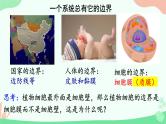 【核心素养】人教版高中生物必修一3.1《细胞膜的结构和功能》课件＋课时练习＋教案（含教学反思）