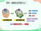 【核心素养】人教版高中生物必修一3.1《细胞膜的结构和功能》课件＋课时练习＋教案（含教学反思）