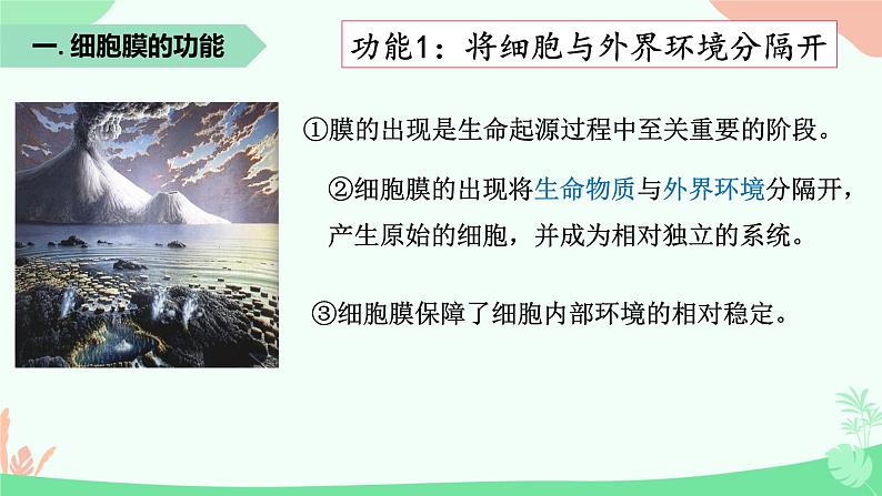 【核心素养】人教版高中生物必修一3.1《细胞膜的结构和功能》课件＋课时练习＋教案（含教学反思）07