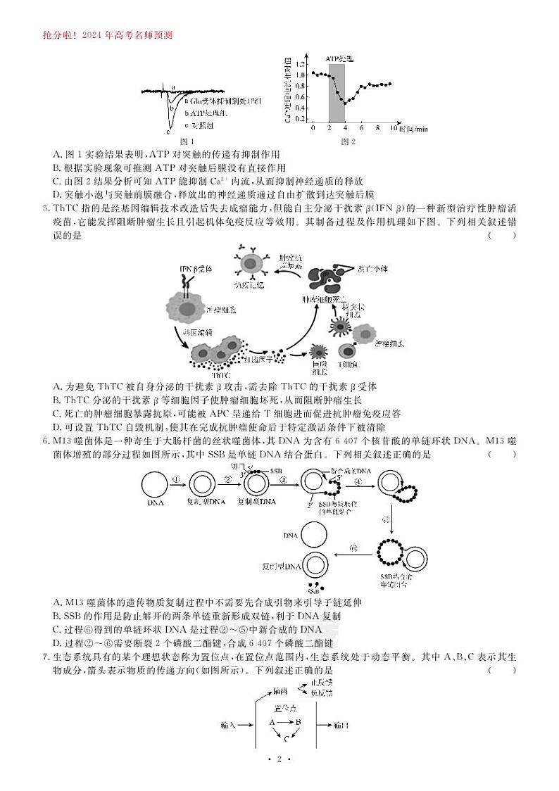 2024届甘肃省白银市靖远县第一中学高三模拟预测生物试题第2页