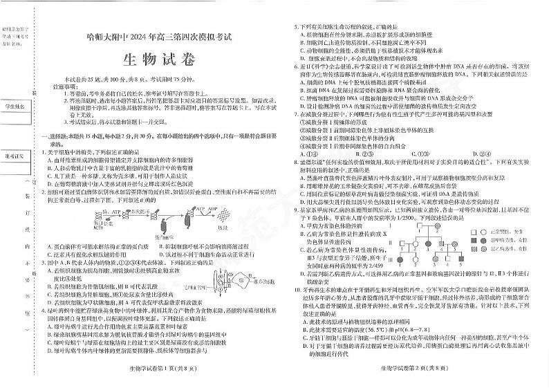 2024年东北三省三校高三四模联考生物试卷和答案01