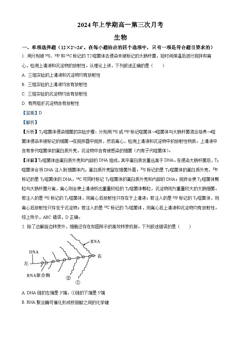 湖南省耒阳市第一中学2023-2024学年高一下学期第三次月考生物试题（学生版+教师版）01