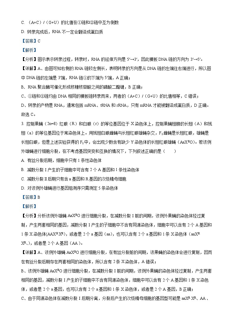 湖南省耒阳市第一中学2023-2024学年高一下学期第三次月考生物试题（学生版+教师版）02