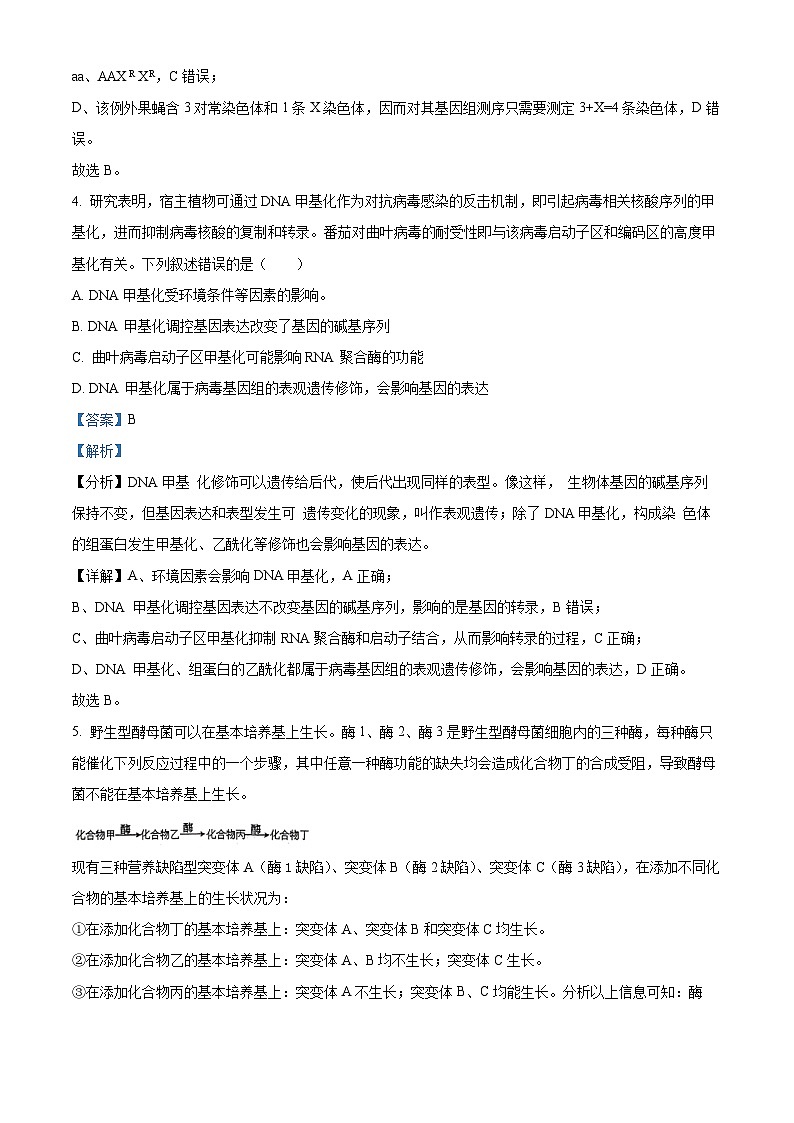 湖南省耒阳市第一中学2023-2024学年高一下学期第三次月考生物试题（学生版+教师版）03