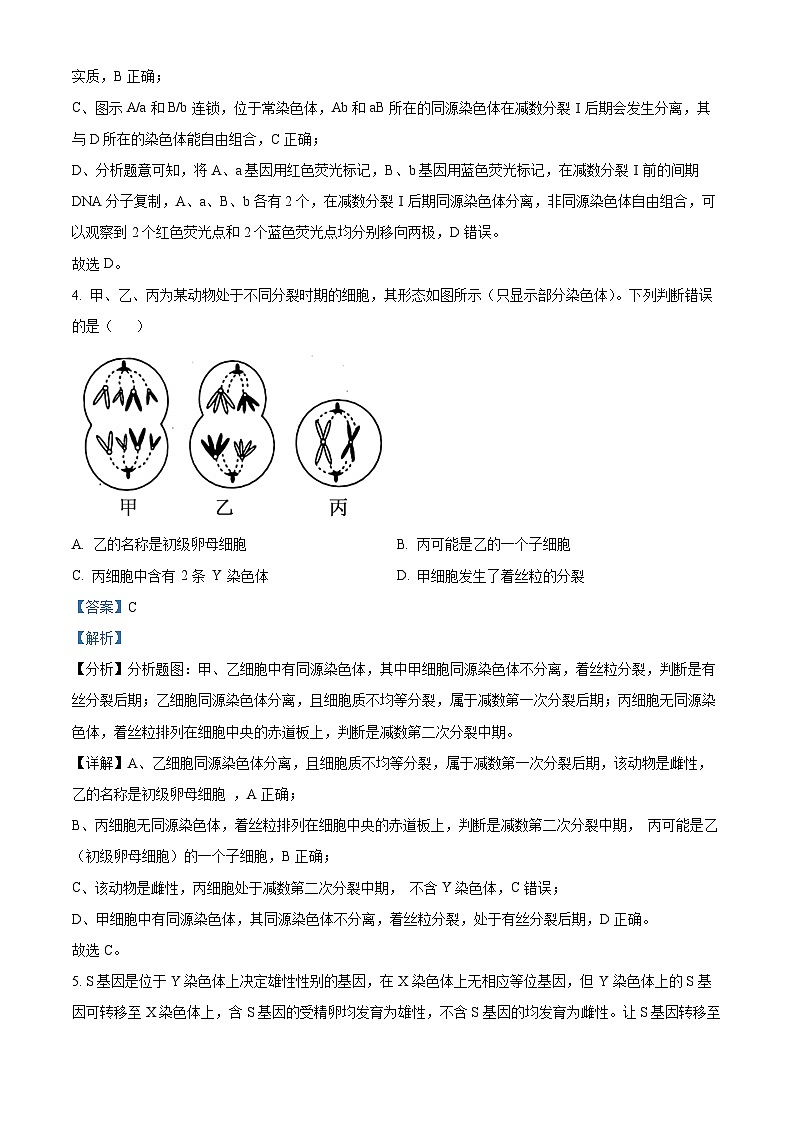 山东省联考2023-2024学年高一下学期5月月考生物试题（教师版）第3页