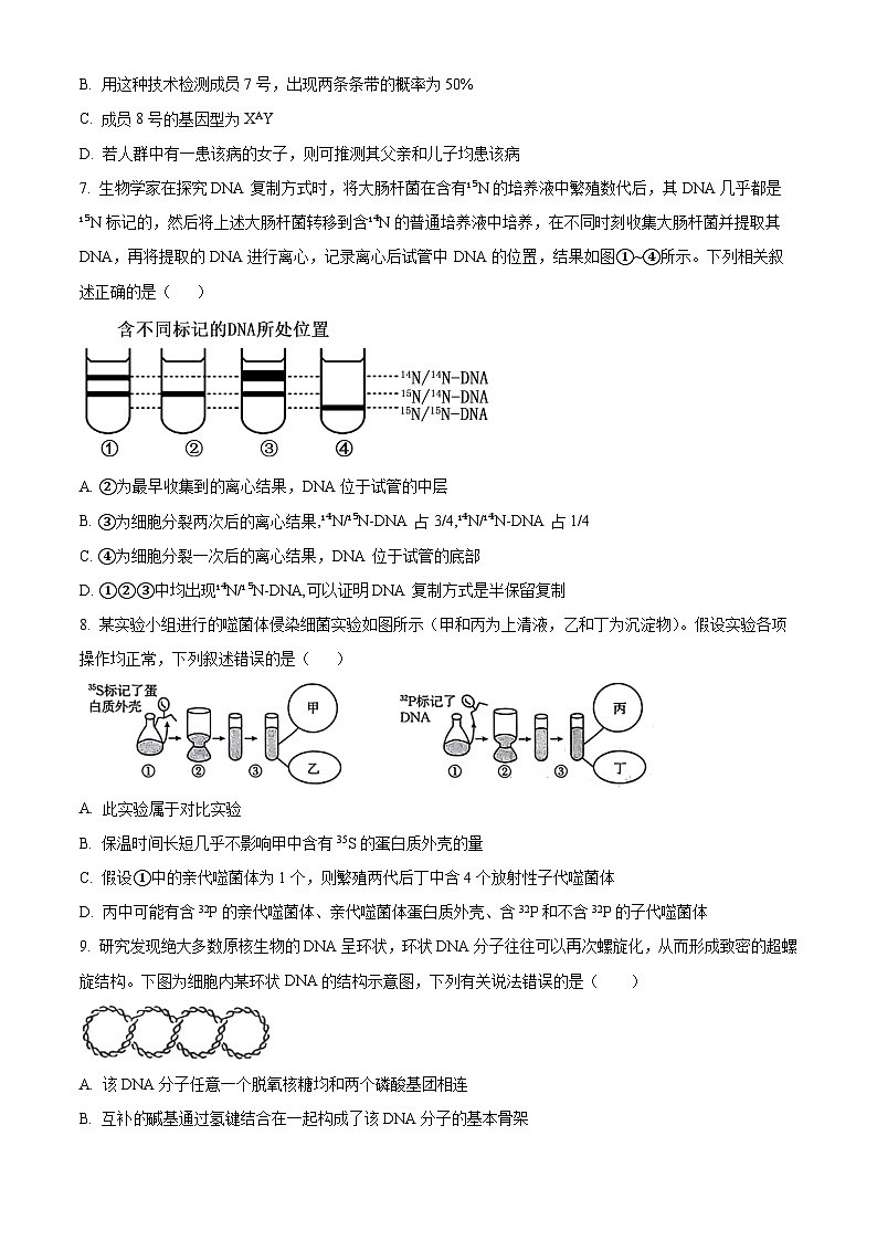 山东省联考2023-2024学年高一下学期5月月考生物试题（学生版）第3页