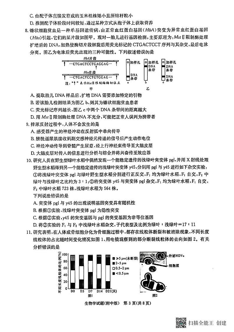 2024届湖南省湖南师范大学附属中学高三下学期模拟（三）生物试题03