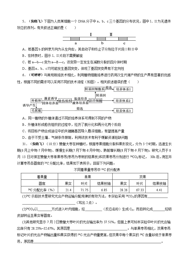 河南省省直辖县级行政单位济源市第一中学2023-2024学年高三下学期生物模拟试卷02