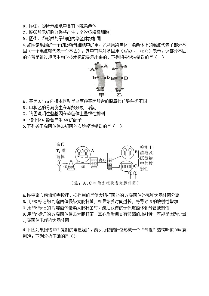 2023-2024学年度春学期5月阶段检测卷第2页