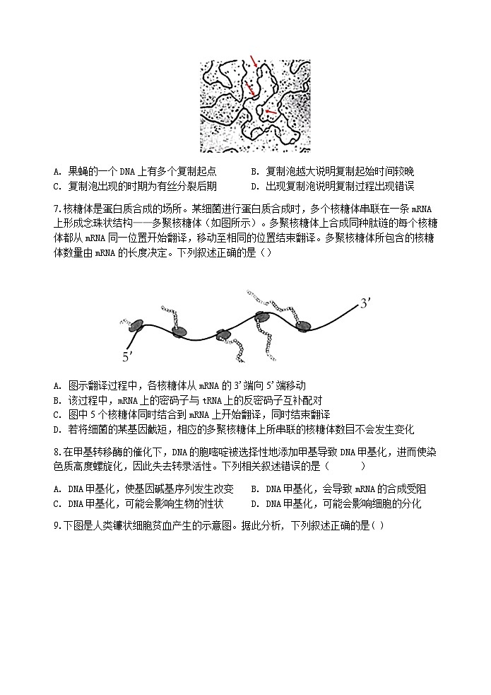 2023-2024学年度春学期5月阶段检测卷第3页