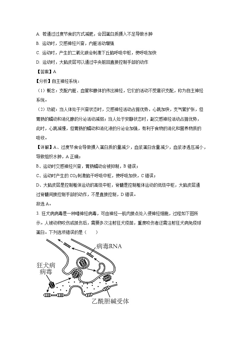 湖北省名校协作体2023-2024学年高二下学期5月月考试生物试题（解析版）第2页